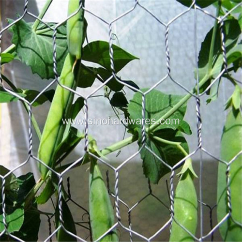 Galvanized Hexagonal Wire Mesh